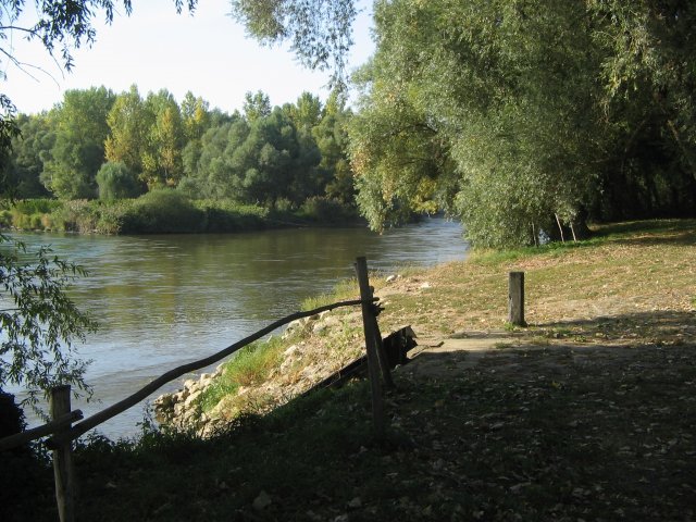 finnek 2011 017